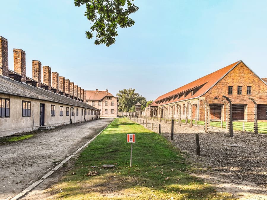 Desde Cracovia: Tour Guiado a Auschwitz-Birkenau y Mina de Sal de Wieliczka