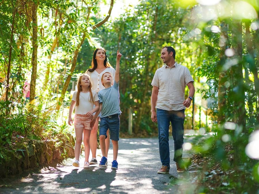 Tour naar de Natural Bridge & Springbrook-watervallen vanaf Gold Coast