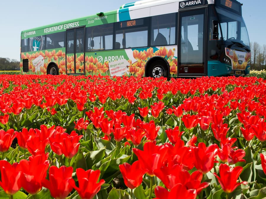 Amsterdam: City & Region Travel Ticket