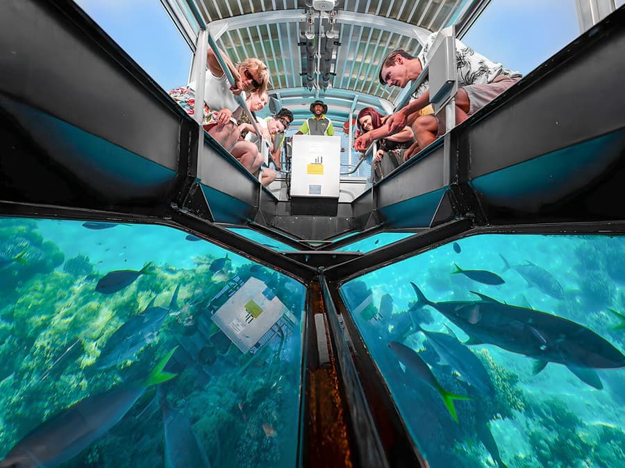 Cairns to Green Island Full/Half-Day Cruise with Glass Bottom Boat Tour