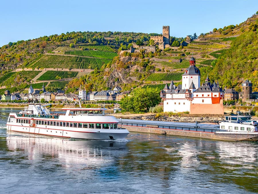 From Frankfurt: Rhine Valley Day Trip