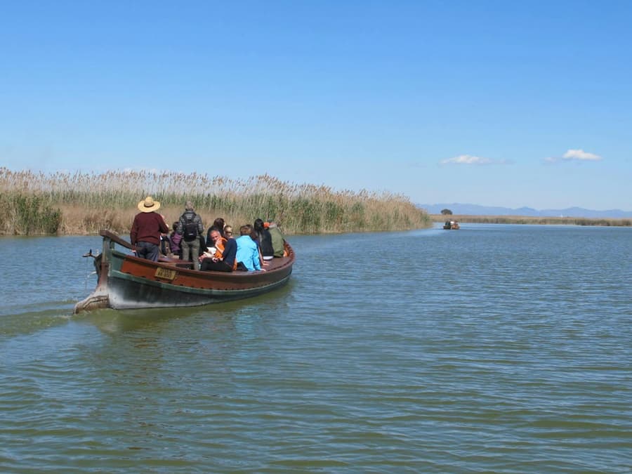 Albufera Bus & Boat from Valencia