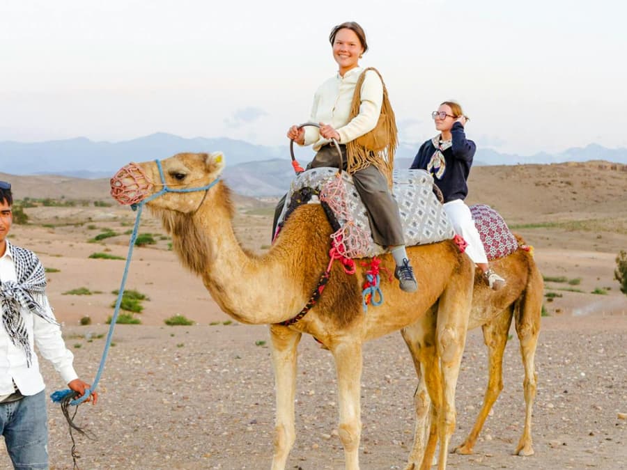 Sunset Desert Tour with Camel Ride, Dinner Show & Transfers