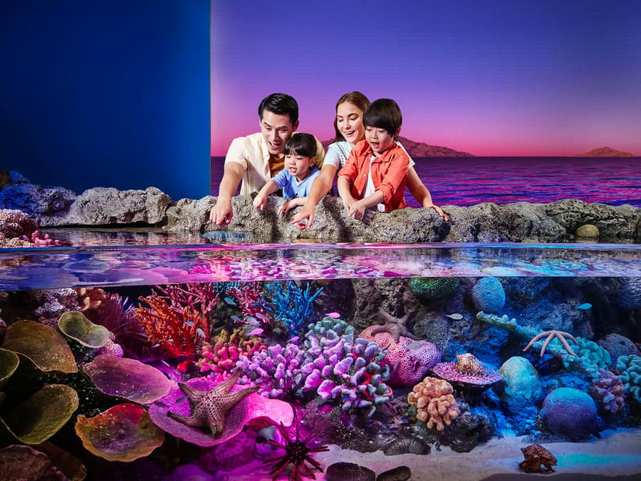 Combo: SEA LIFE Bangkok + Madame Tussauds Bangkok Tickets