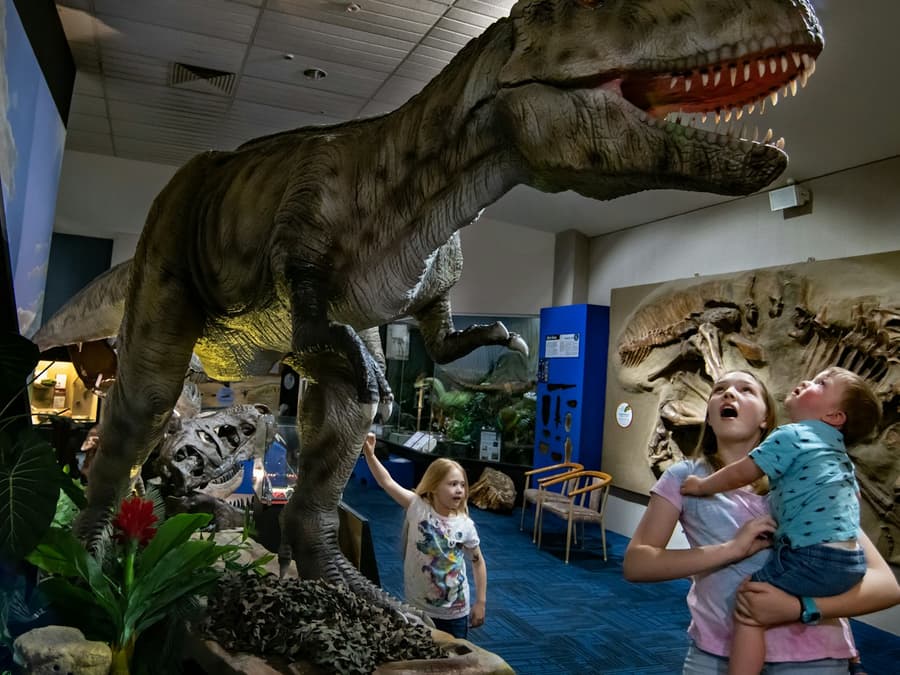 National Dinosaur Museum: Skip The Line Ticket