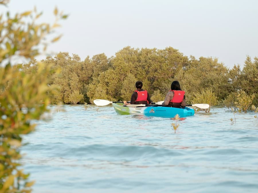 Guided Kayak Tour in the Mangroves
