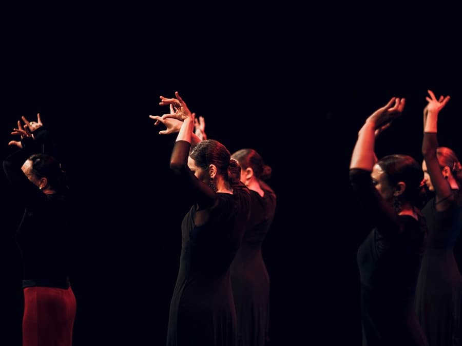 Flamenco Dance Museum - Flamenco Show