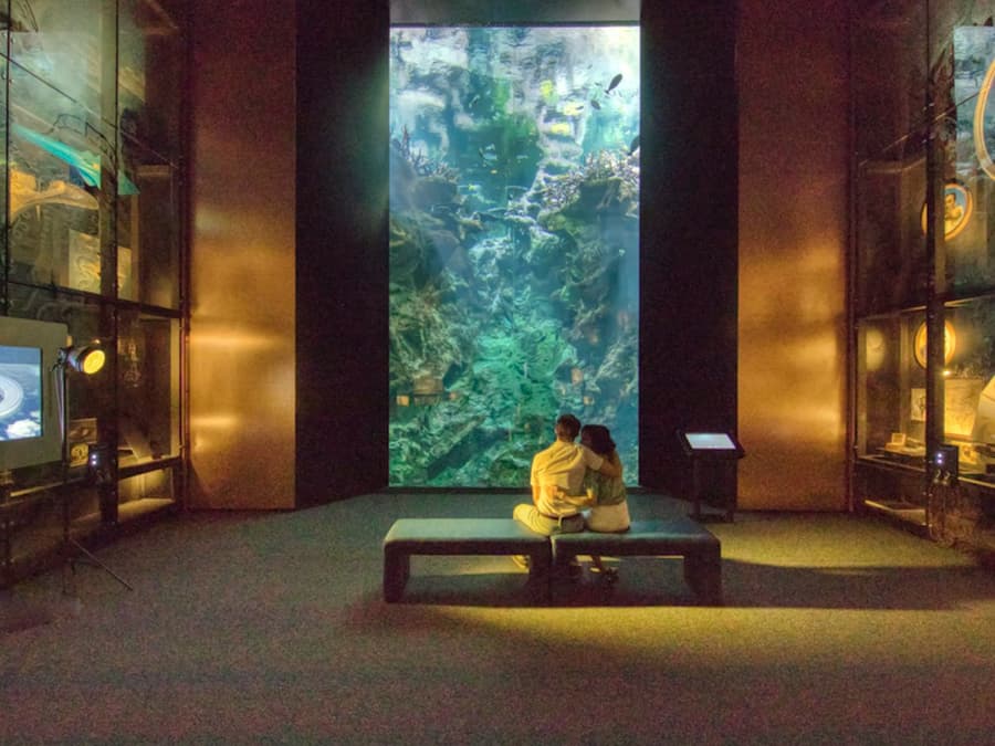 La Cité de la Mer: Entry Ticket