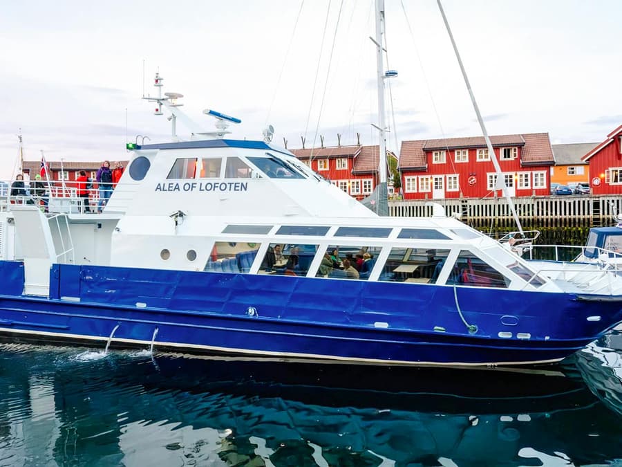 From Svolvær: Lofoten Trollfjord Cruise & Sea Eagle Safari
