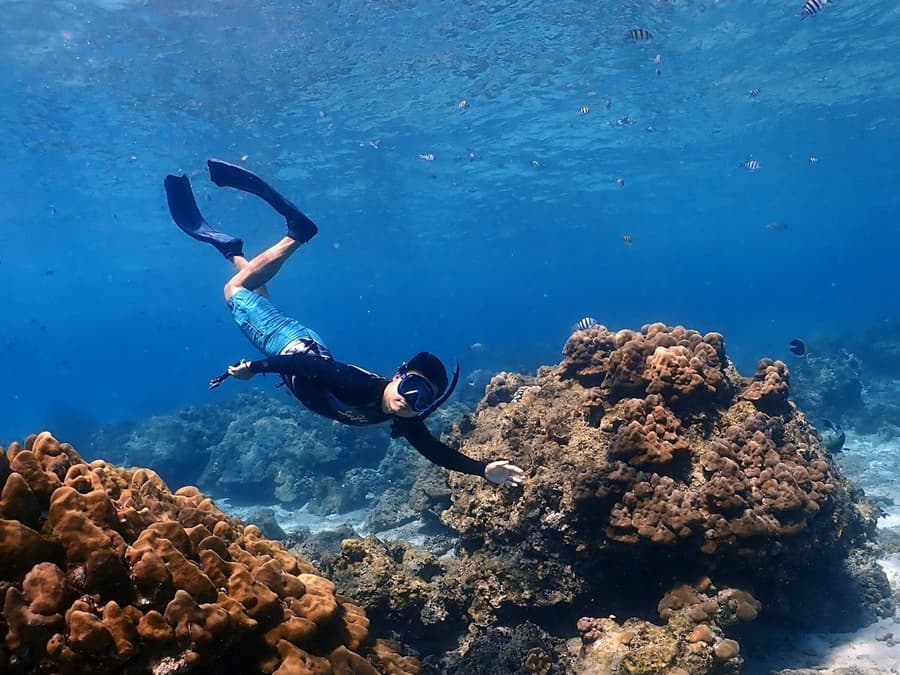 Koh Racha Noi & Koh Racha Yai: Guided Speedboat Tour + Transfer + Lunch