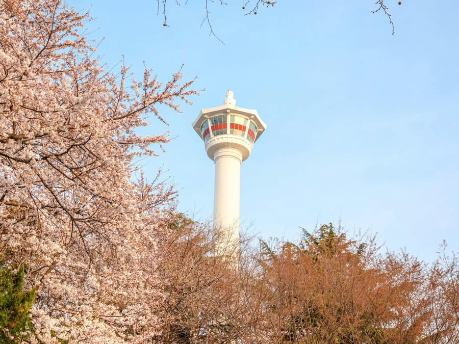 Busan Tower Observatory Entry Tickets