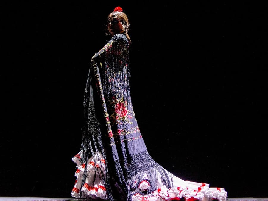 Teatro Flamenco Málaga Club - Essence Flamenco Show