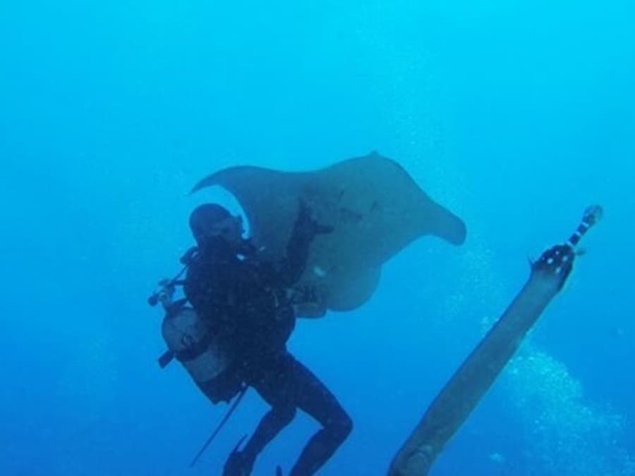 Los Cristianos: Guided Diving Class