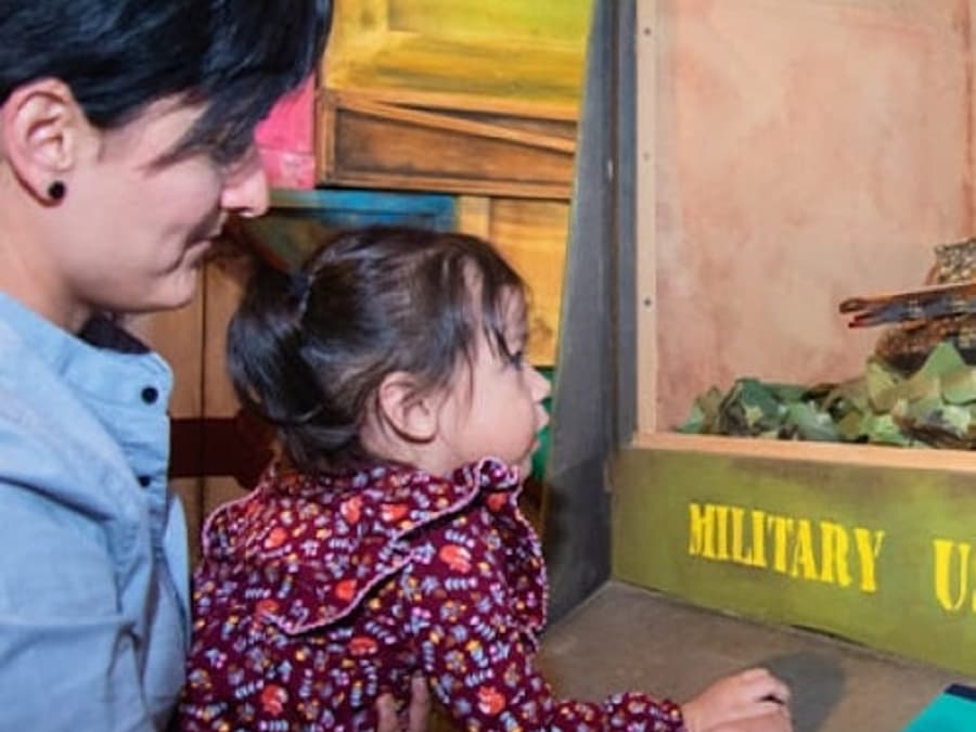 Ripley's Believe It or Not! San Antonio: 4-Attraction Pass