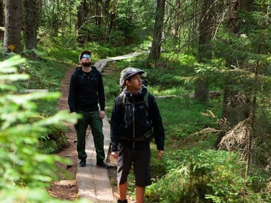 Helsinki: Magical Taiga Forest Hike