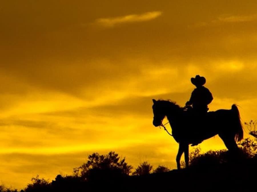 Wild Wild West Sunset Horseback Ride + Dinner