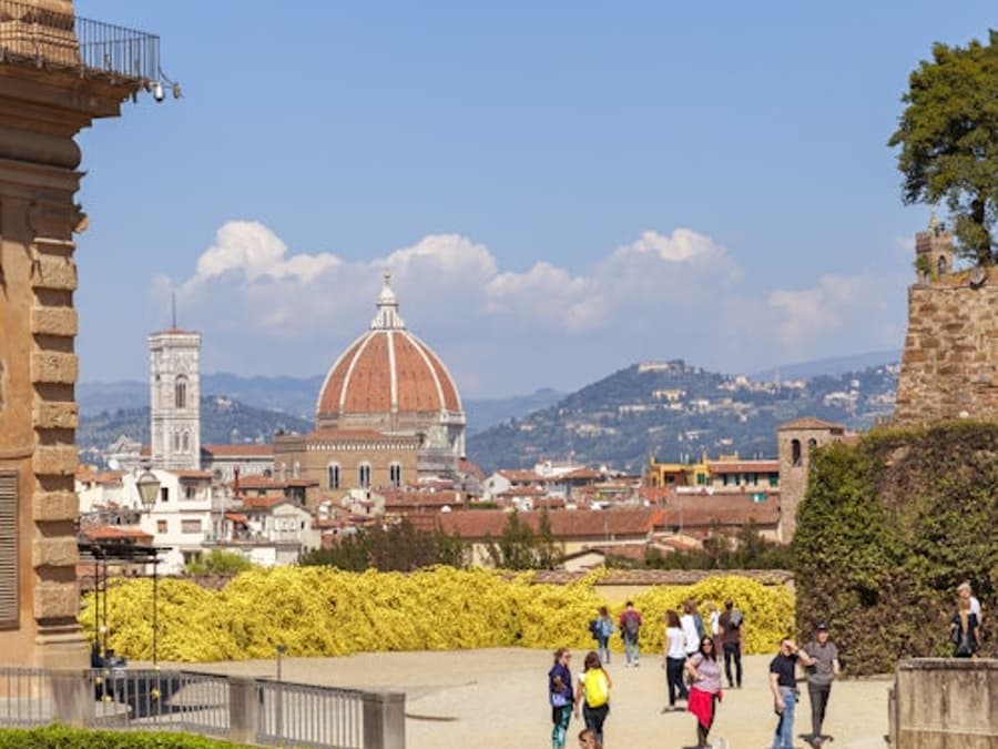 Uffizi Gallery, Palazzo Pitti & Boboli Gardens: Reserved Entry + Audio Guide