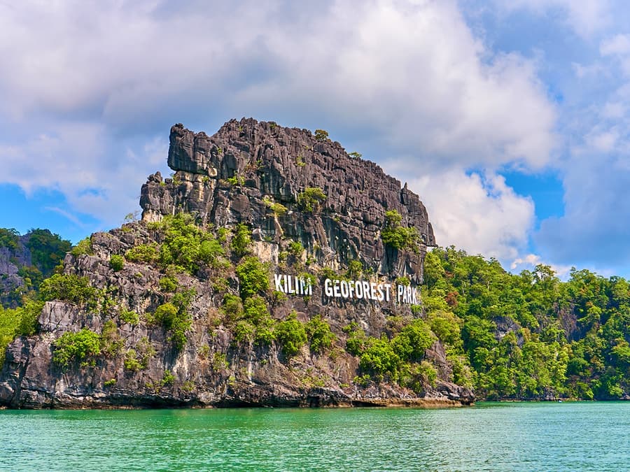 Private Langkawi Mangrove Tour