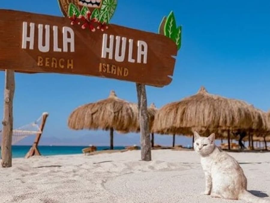 Ilha Hula Hula: Cruzeiro Guiado de Hurghada + Snorkeling + Almoço