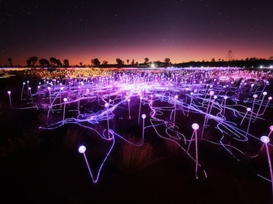Field of Light Uluru: Star Pass