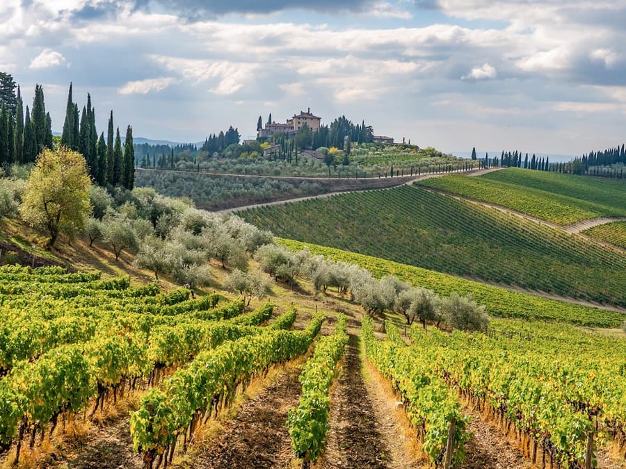 3-stündige geführte E-Bike-Tour durch das Chianti mit Weinprobe