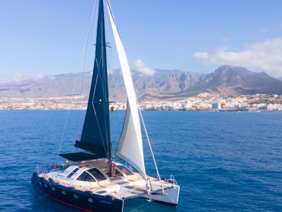 Tenerife: 3-Hour Whale & Dolphin Watching Catamaran Tour with Catering