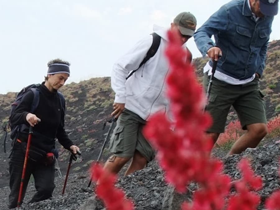 Mount Etna: Udflugt fra Catania
