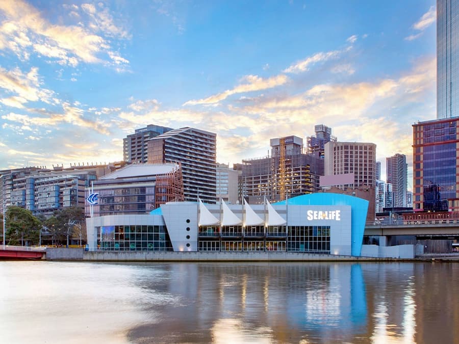 Entrades per SEA LIFE Melbourne Aquarium