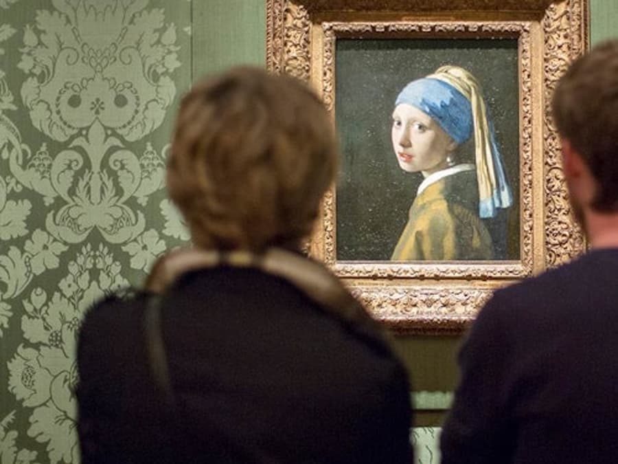 The Mauritshuis Museum: Entry Ticket