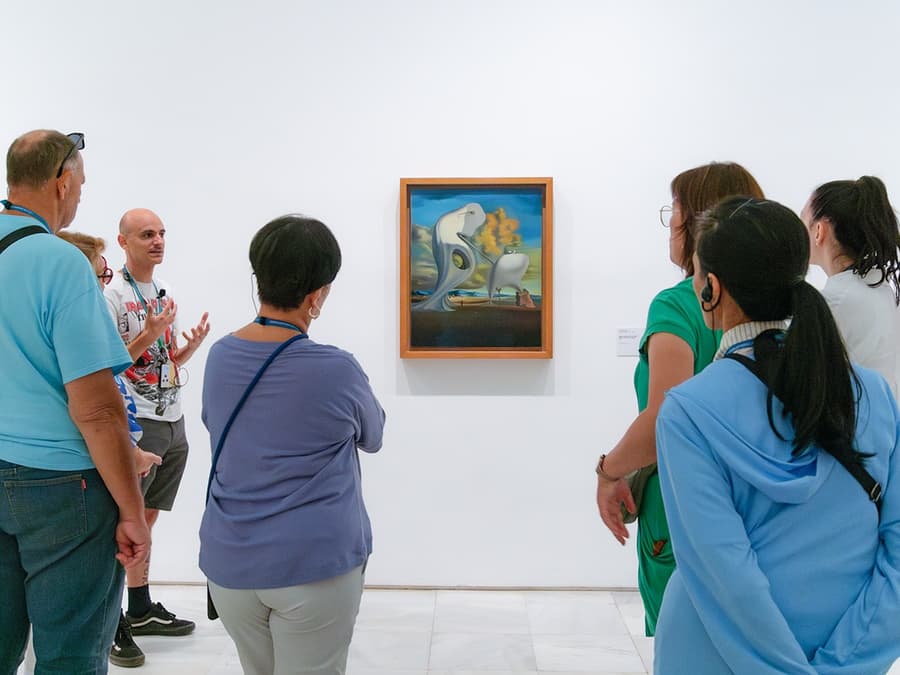 Reina Sofia Museum Guided Tour
