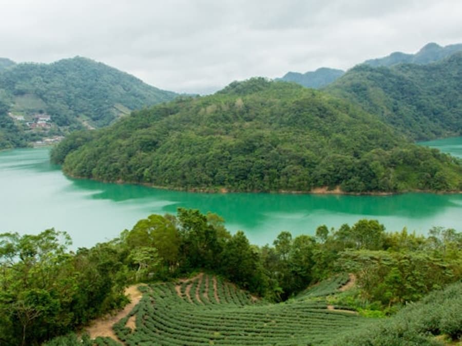 Thousand Island Lake & Pinglin Tea Plantation: Afternoon Tour from Taipei