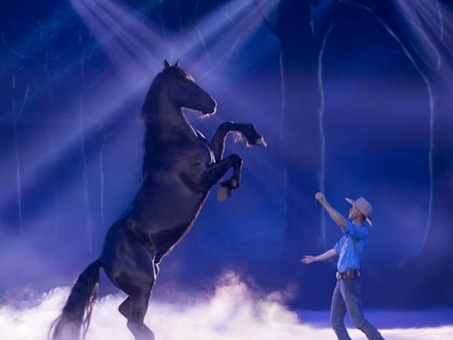 Australian Outback Spectacular: Dinner and Show