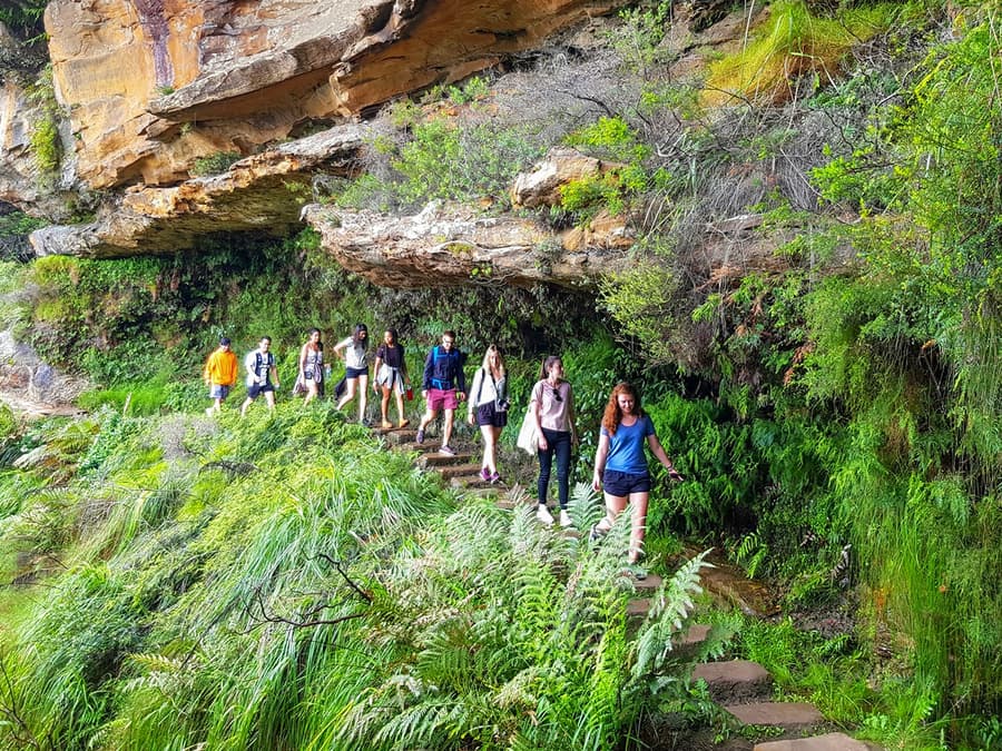 Niezwykła Wędrówka po Blue Mountains: Sekretne Punkty Widokowe i Obiad z Grillem