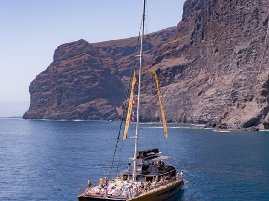 Tenerife: 4.5-Hour Whale & Dolphin Watching Tour to Masca & Los Gigantes