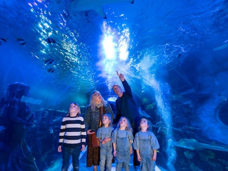 SEA LIFE Birmingham: Entry Ticket