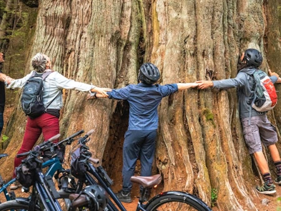 Vancouver: Tur cu bicicleta pentru familii în Stanley Park