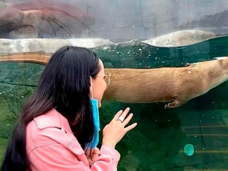 Michin Aquarium Puebla: Entry Ticket
