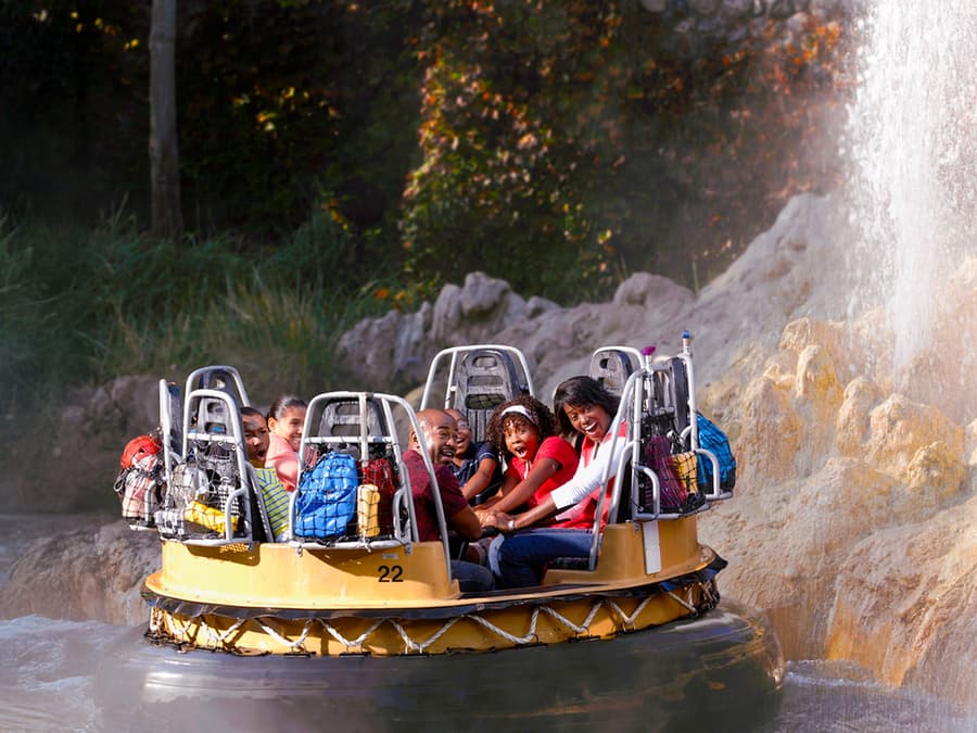 Disneyland California 1-Day Multi-Park Tickets (Hopper)