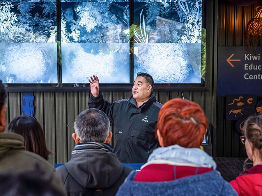 Te Puia: Te Rā Guided Experience + Haka Combo