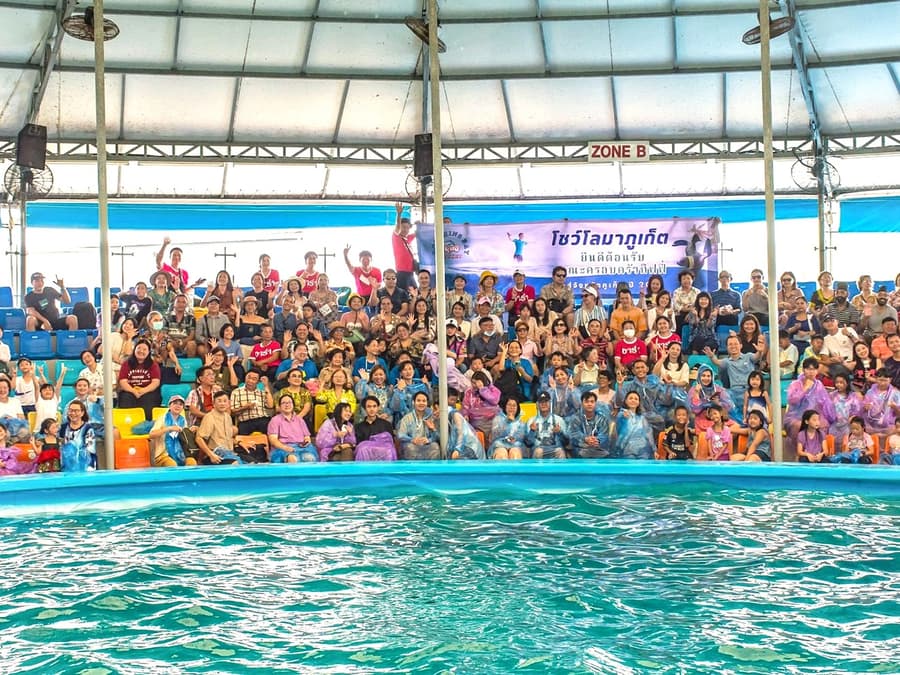 Phuketin delfiinishow-liput: Thaimaan asukkaille