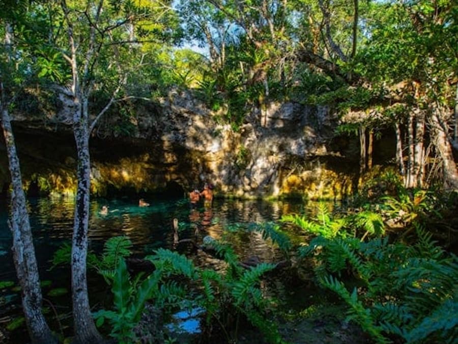 Tulum & 2 Cenotes Trail: Bike Tour + Lunch