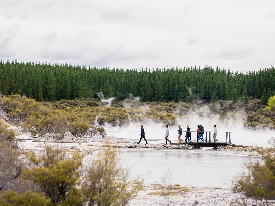 Hell's Gate Geothermal Walk & Māori Carving Tickets