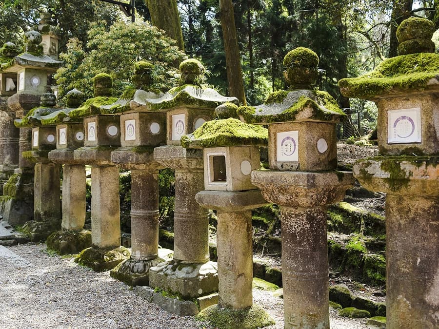 Kyoto & Nara by Private Car: Temples, Deer Park & Scenic Stops