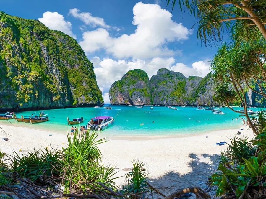 From Phuket: Phi Phi Island, Maya Bay & Bamboo Island Tour by Premium Speedboat with Lunch & Hotel Transfers