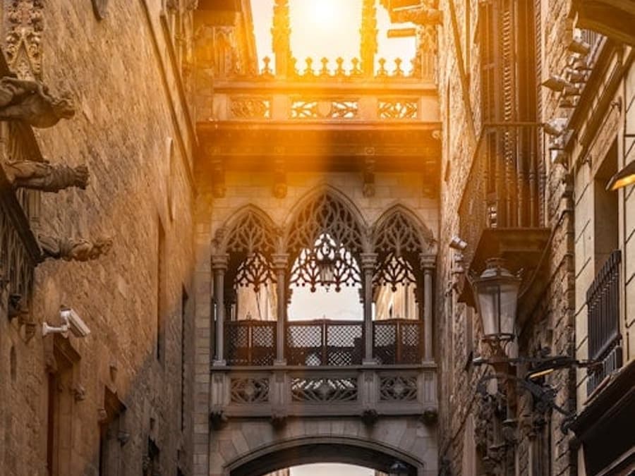 Barcelone : Visite guidée du Quartier Gothique + Spectacle de Flamenco
