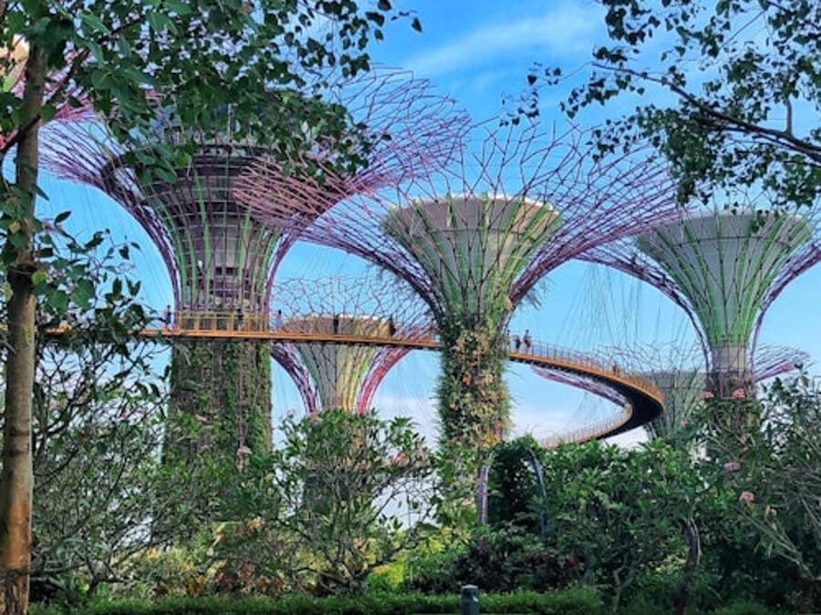 Gardens by the Bay: Visita Guiada