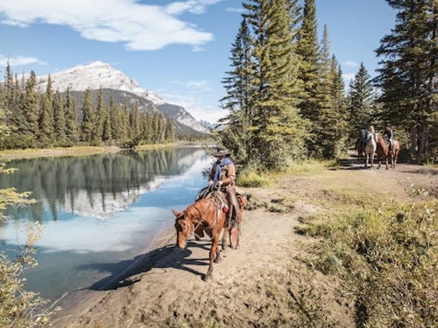 Cowboy Cookout: Wagon Ride from Banff