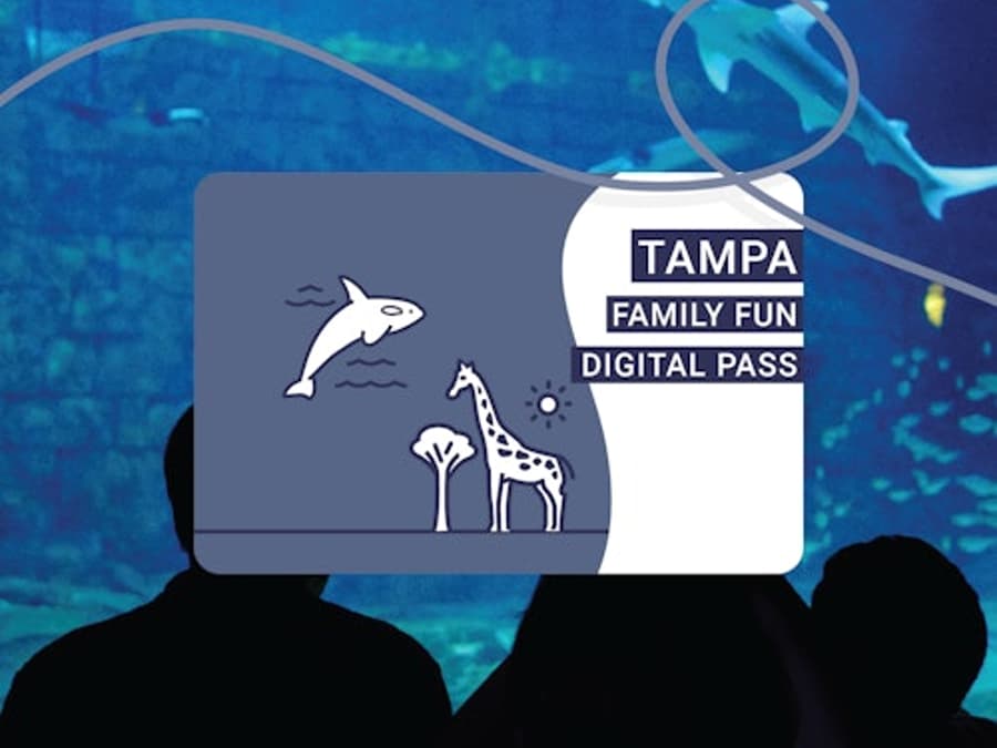 Tampa Family Fun Pass