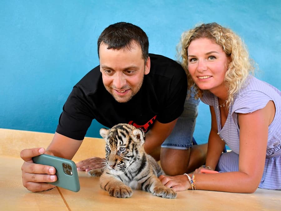 Tiger Park Tickets with Tiger Play Packages