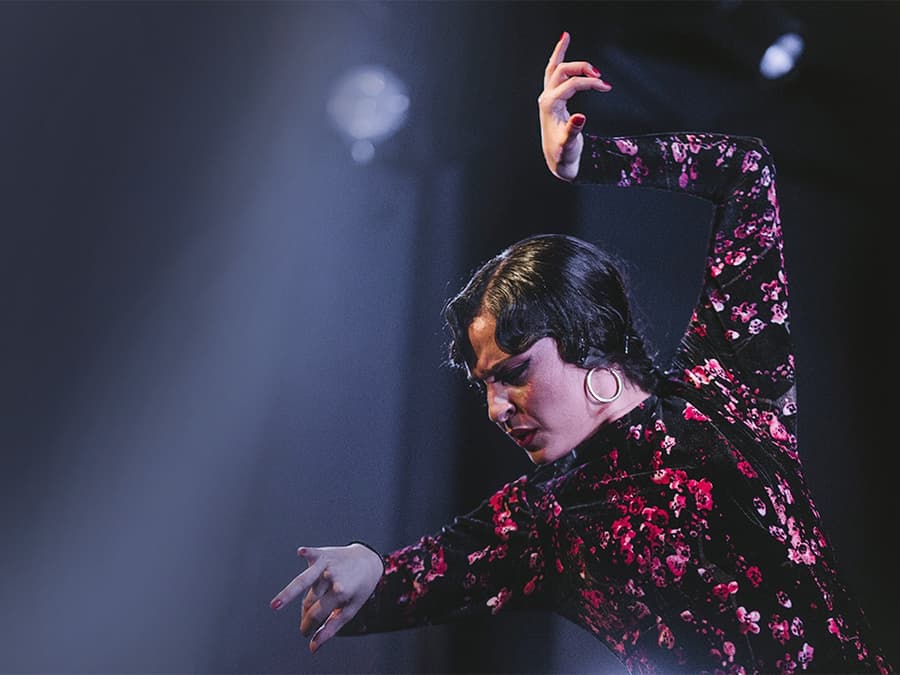 Casa Ana Flamenco Show